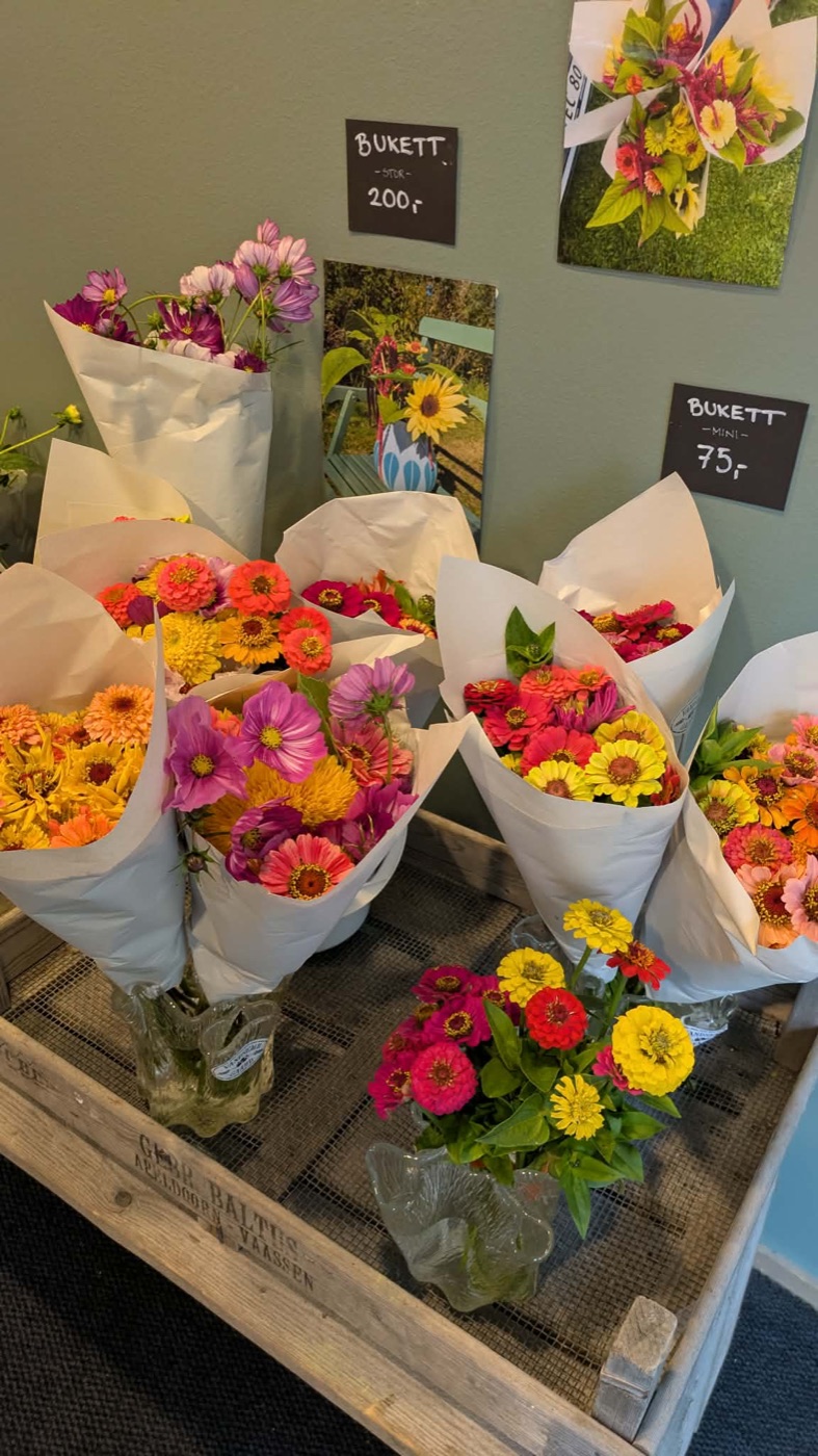Blomsterbuketter